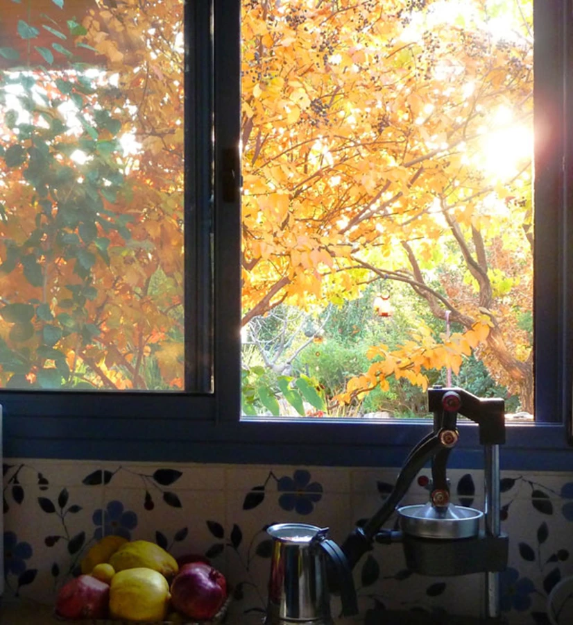 בחודשי החורף והסתיו נחשפים חלונות דרומיים אל השמש הנעhמה, אילו בקיץ מוצלים היטב