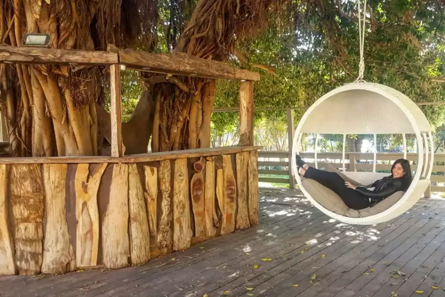 עץ פיקוס ותיק, כמו עצים רבים נוספים, מזמינים את אורחי המלון לנוח בצלם ולהתנתק לזמן מה. צילום מתוך אתר המלון.