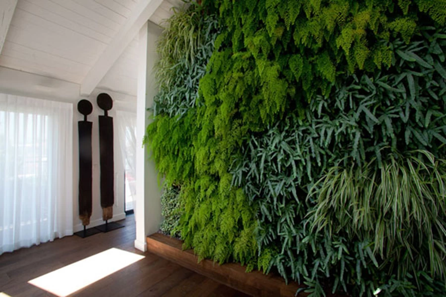 אט אט אנו נפגשים עם קירות ירוקים בתוך משרדים, בתי מגורים ומקומות ציבוריים מושקעים.