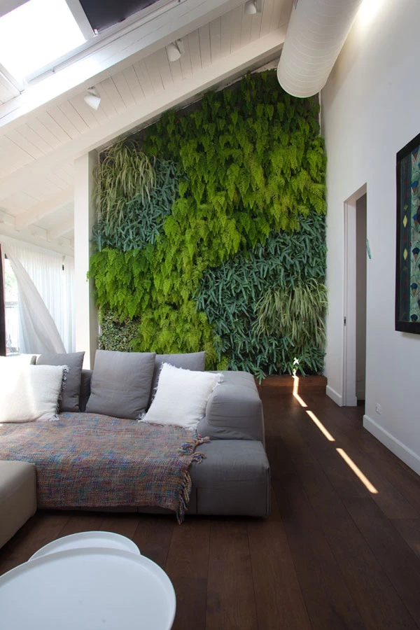 קיר ירוק בתוך בית מגורים