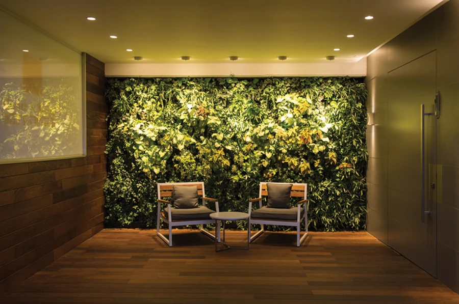 חלל פואייה בעיצוב טבעי-חמים מחוץ לכניסה הרשמית למשרד: ריצוף דק המטפס ומחפה גם את הקיר, וקיר ירוק שאור 